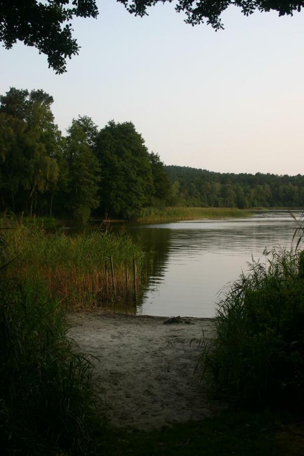 Ferienwohnung Am See 55 Bad Saarow Εξωτερικό φωτογραφία