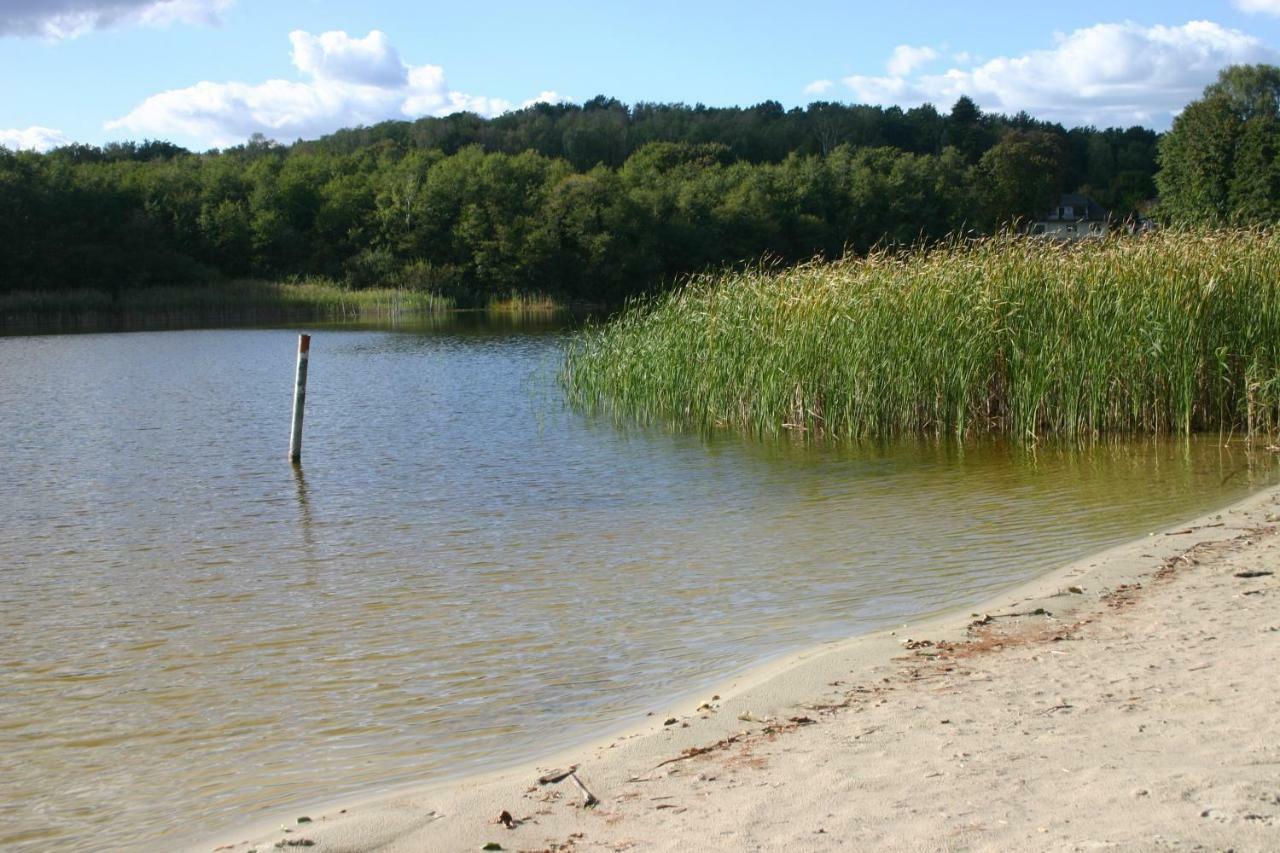 Ferienwohnung Am See 55 Bad Saarow Εξωτερικό φωτογραφία
